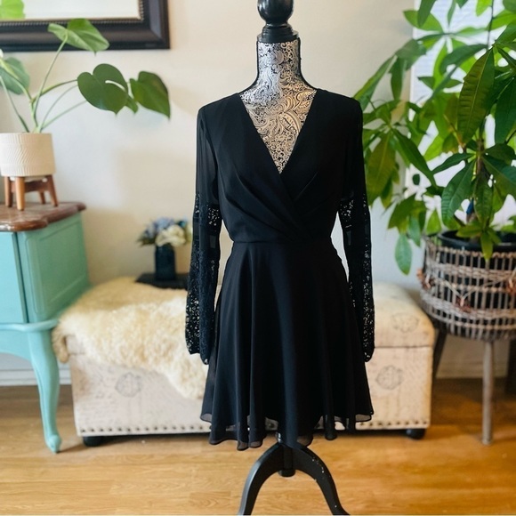 BCBGeneration Flirty Lace & Chiffon Mini Dress, Size 6 - Picture 3 of 9